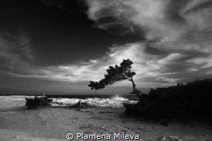 The photo was taken on the isl.of Ibiza,Spain from me in ... by Plamena Mileva 